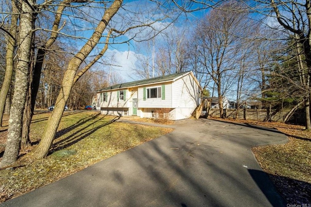 107 Park Ave, Monticello, NY 12701