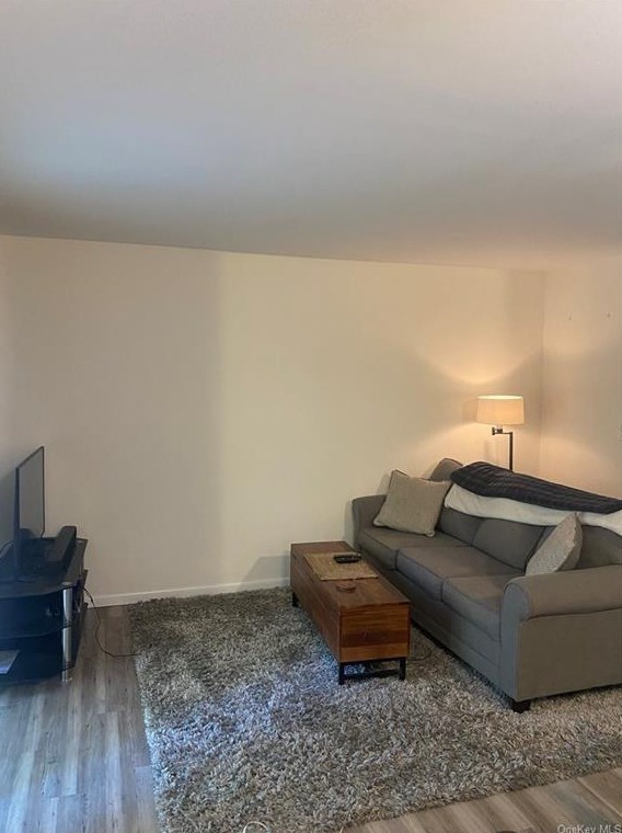 5 Yew Ct Apt B, Fishkill, NY