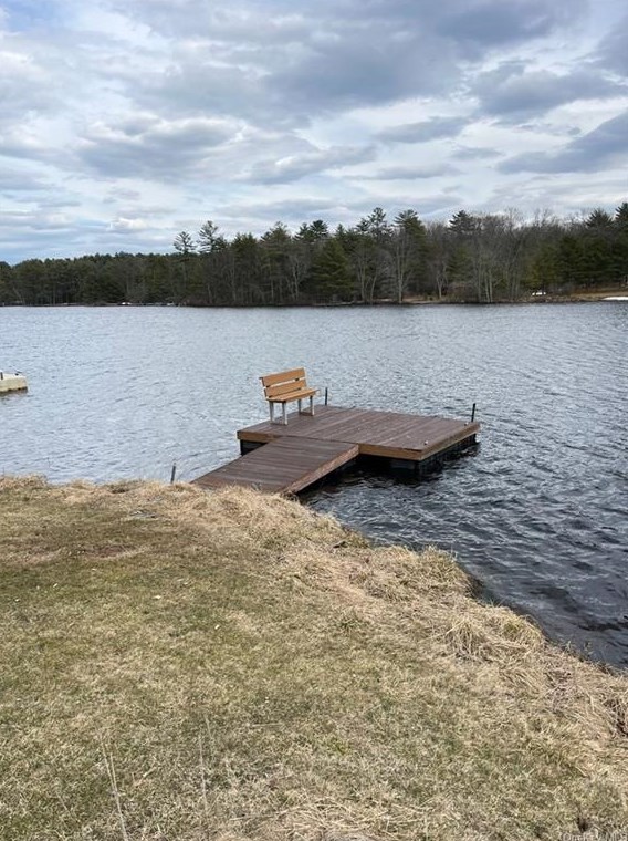 51 Mohican Trl, Glen Spey, NY 12737-5915