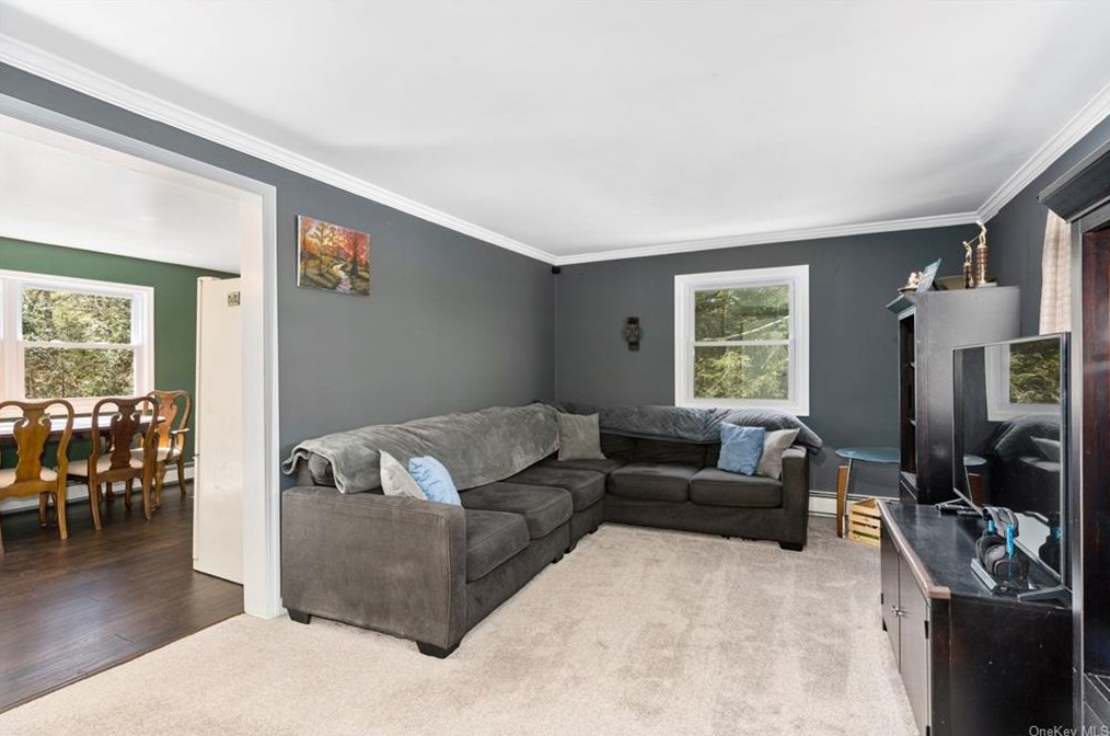 509 White Rd, Glen Spey NY  12737-5683 exterior