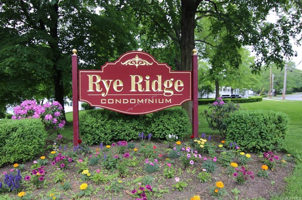 32 N Ridge St #d, Rye Brook, NY 10573