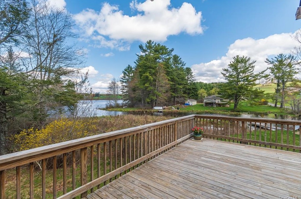 593 Briscoe Rd, Swan Lake, NY 12783