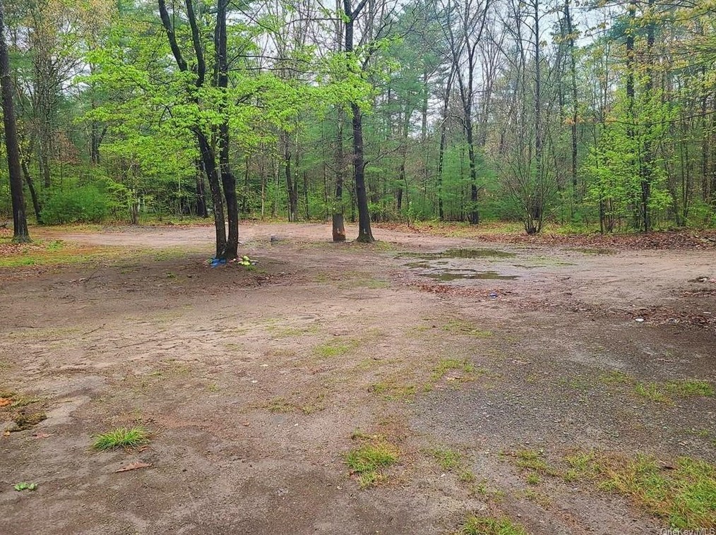 2 Avenue B, Godeffroy, NY 12729