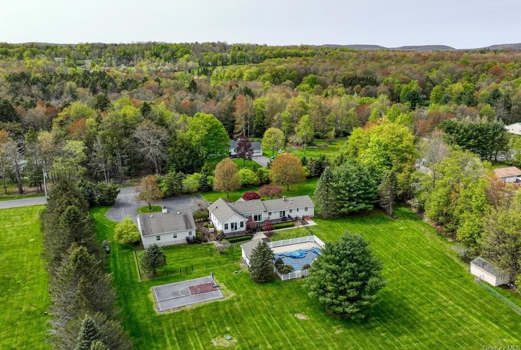394 Hysana Rd, Liberty, NY 12754