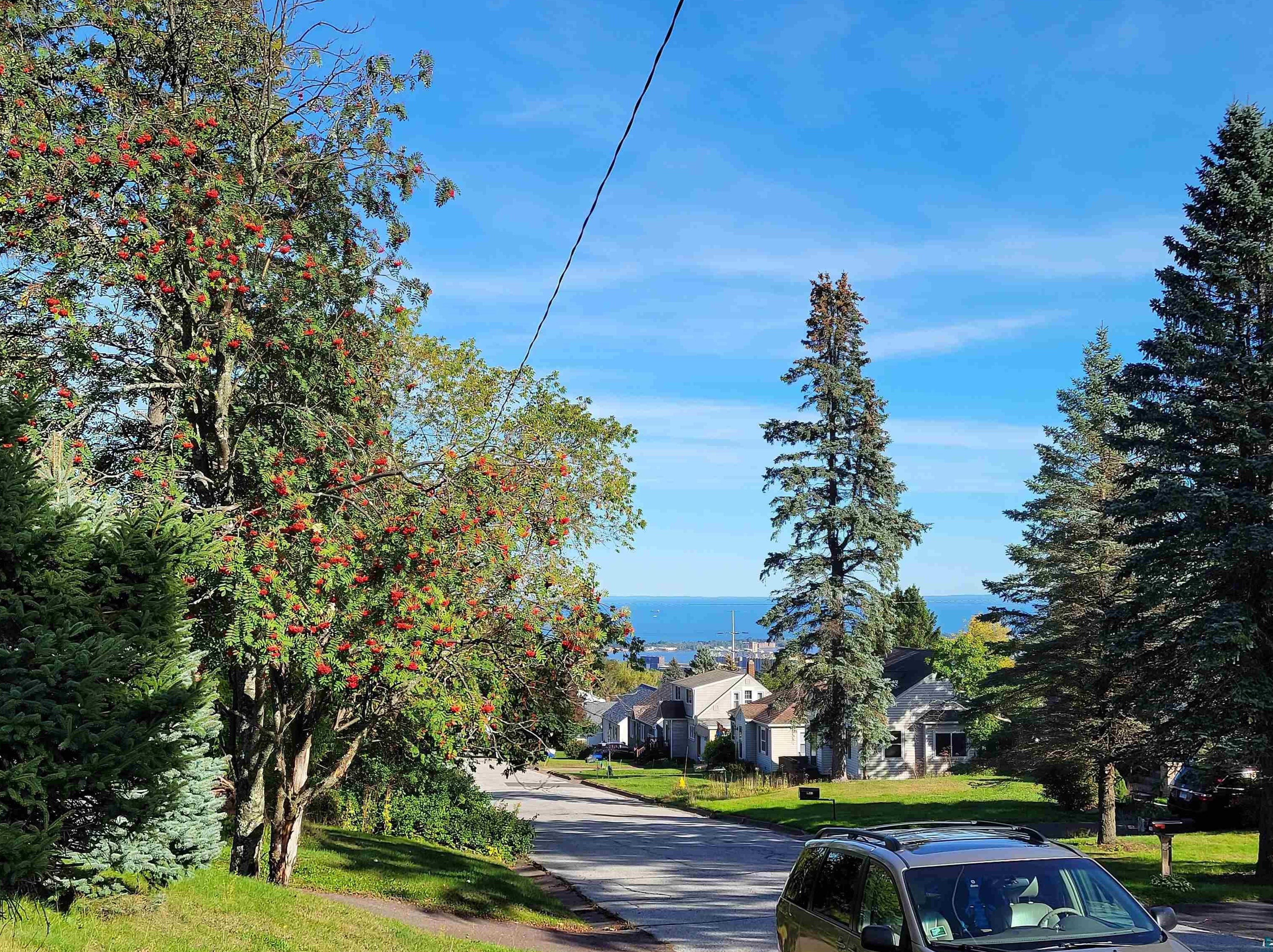 2011 Gearhart St, Duluth, MN 55811