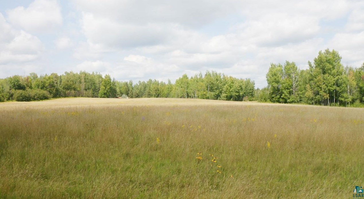 3617 Salo Rd, Embarrass MN  55732-8137 exterior