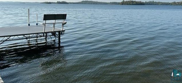 4669 Indian Pt Rd, Orr MN 55771-8218 exterior