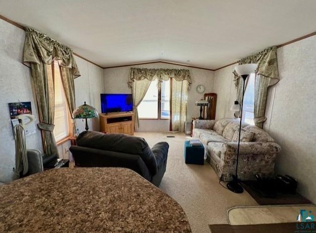 80 Sunnyside Est, Scanlon, MN 55720-1146