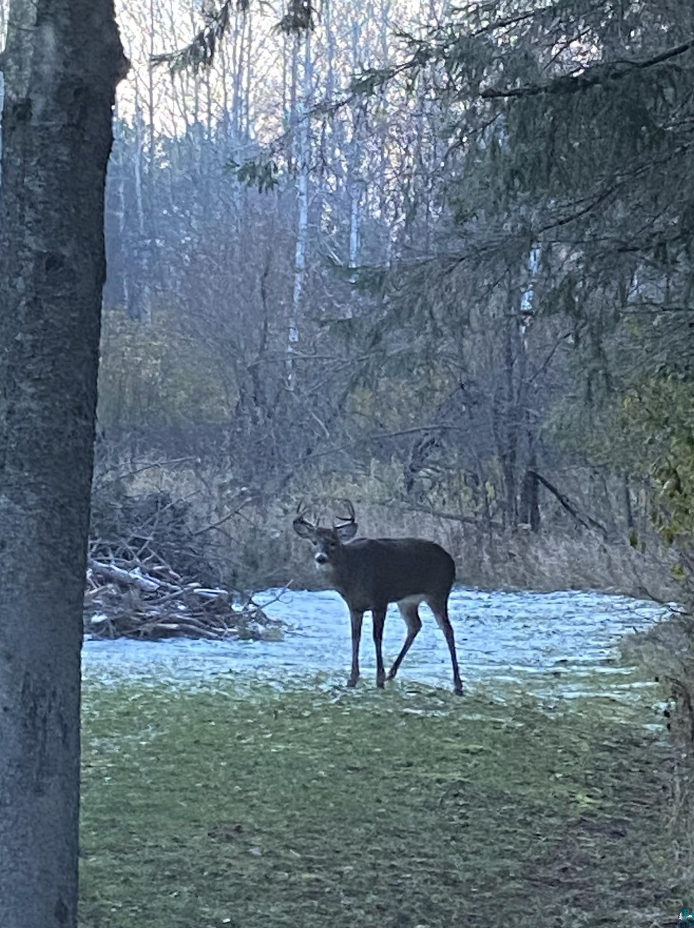 4376 Midway Rd, Duluth MN 55811-1313 exterior