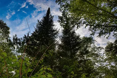 Xxx County Rd 48, Grand Marais, MN 55604 - Photo 1