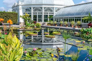 2255 Bathgate Ave, New York City, NY 10457 - Photo 10