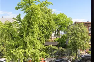 1106 Bergen St, New York City, NY 11216 - Photo 12