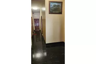 767 Eastern Pkwy, New York City, NY 11213 - Photo 6