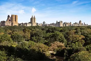 1 Central Park S, New York City, NY 10019 - Photo 6