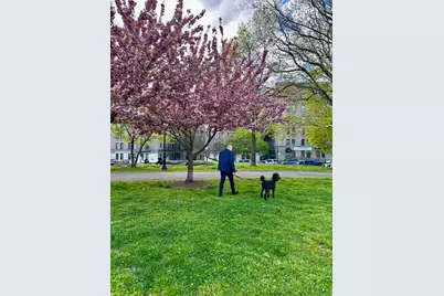 299 E 161st Street #504, New York City, NY 10451 - Photo 8