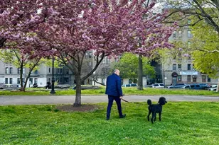 299 E 161st St, New York City, NY 10451 - Photo 8