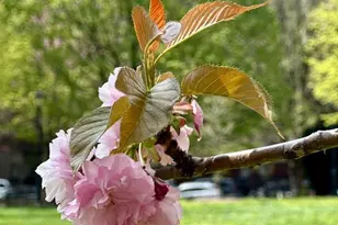 299 E 161st St, New York City, NY 10451 - Photo 8