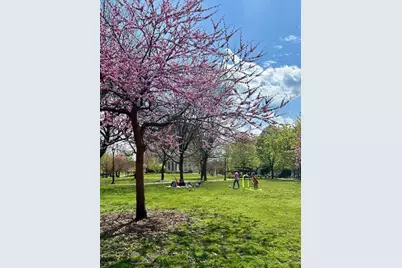 299 E 161st Street #408, New York City, NY 10451 - Photo 22