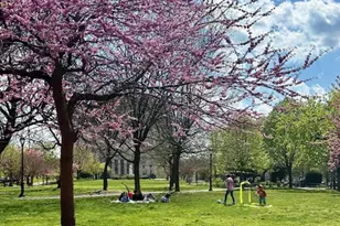 299 E 161st St, New York City, NY 10451 - Photo 22