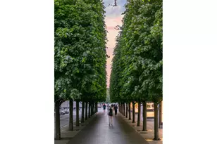 12 E 79th St, New York City, NY 10075 - Photo 10