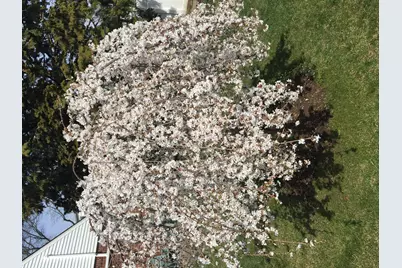 233-16 87th Avenue, New York City, NY 11427 - Photo 22