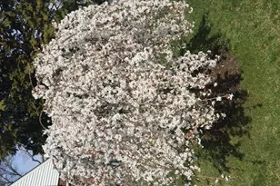 233-16 87th Ave, New York City, NY 11427 - Photo 22