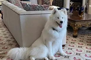 170 East End Ave, New York City, NY 10128 - Photo 26