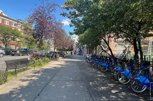 390 Rugby Rd, New York City, NY 11226 - Photo 28