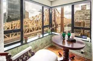 425 E 58th St, New York City, NY 10022 - Photo 48
