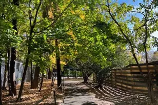 5500 Fieldston Rd, New York City, NY 10471 - Photo 22