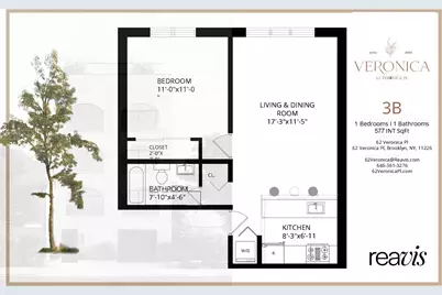 62 Veronica Place #3-B, New York City, NY 11226 - Photo 6