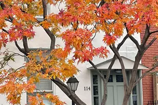 114 2nd St, New York City, NY 11231 - Photo 14