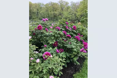 2385 Barker Avenue #5-L, Bronx, NY 10467 - Photo 14