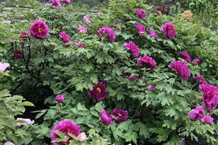 2385 Barker Ave, Bronx, NY 10467 - Photo 14