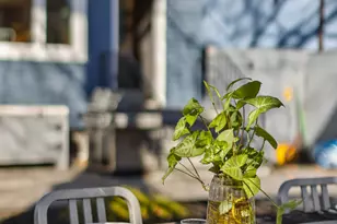 28 Wellington Ct, New York City, NY 11230 - Photo 26