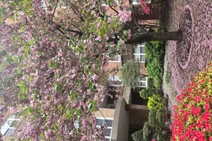 94-11 59th Ave, New York City, NY 11373 - Photo 24