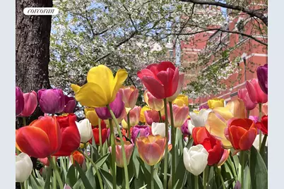 655 Park Avenue #7D, New York City, NY 10065 - Photo 10