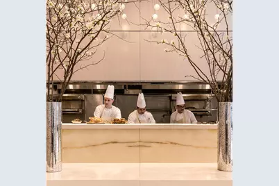 432 Park Avenue #66B, New York City, NY 10022 - Photo 44