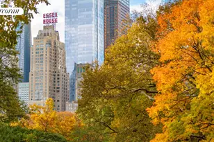 160 Central Park S, New York City, NY 10019 - Photo 14