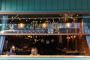 22-54 46th St, New York City, NY 11105 - Photo 36