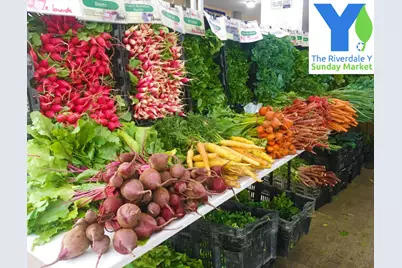 460 W 236th Street #4B, New York City, NY 10463 - Photo 38