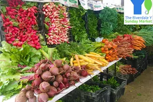 460 W 236th St, New York City, NY 10463 - Photo 38