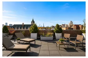 229 W 116th St, New York City, NY 10026 - Photo 46