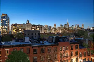 299 Hicks St, New York City, NY 11201 - Photo 50