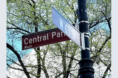 25 Central Park W #11AB, New York City, NY 10023 - Photo 32