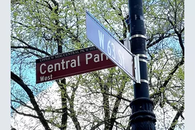 25 Central Park W #11AB, New York City, NY 10023 - Photo 32