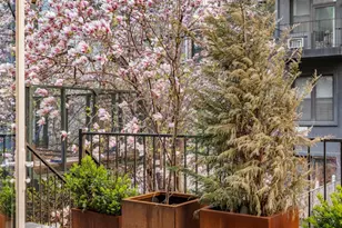 49 E 126th St, New York City, NY 10035 - Photo 16