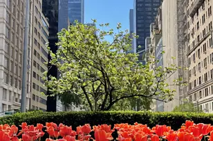 115 E 61st St, New York City, NY 10065 - Photo 14