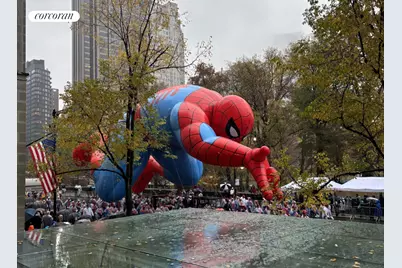 210 Central Park S #2C, New York City, NY 10019 - Photo 12