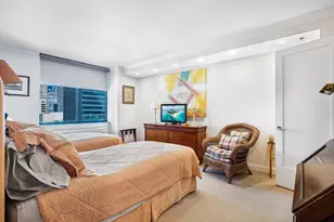 255 E 49th St, New York City, NY 10017 - Photo 18